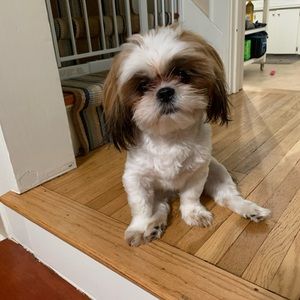 Meet your Posher, Victor